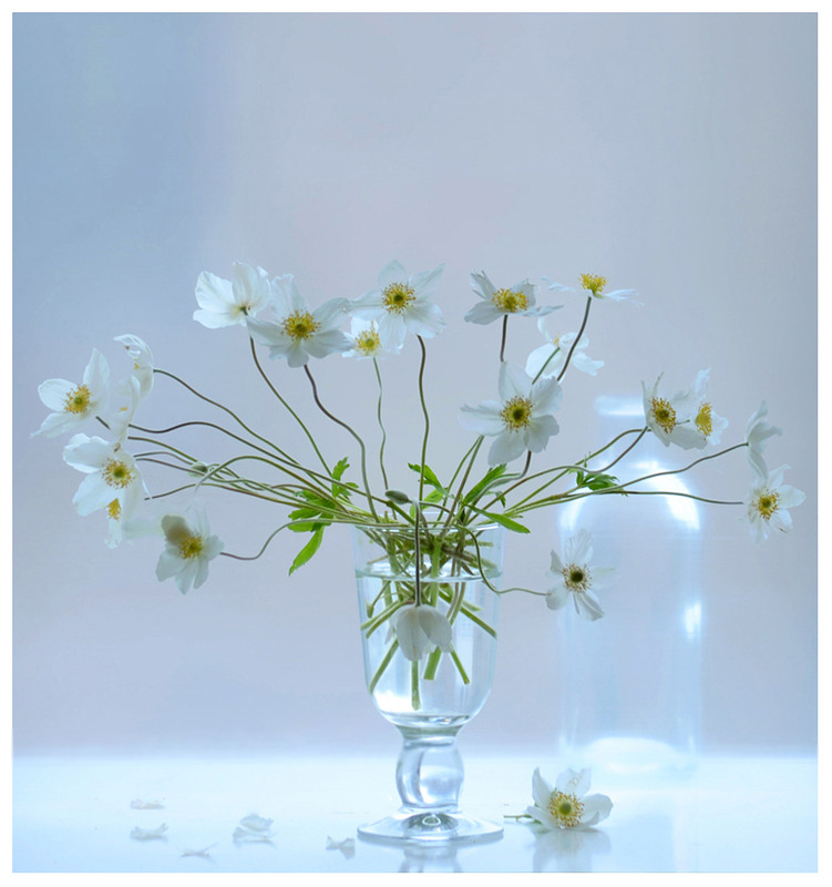 Фотографія Про наповненість і порожнечу... / Тіна Качалова / photographers.ua