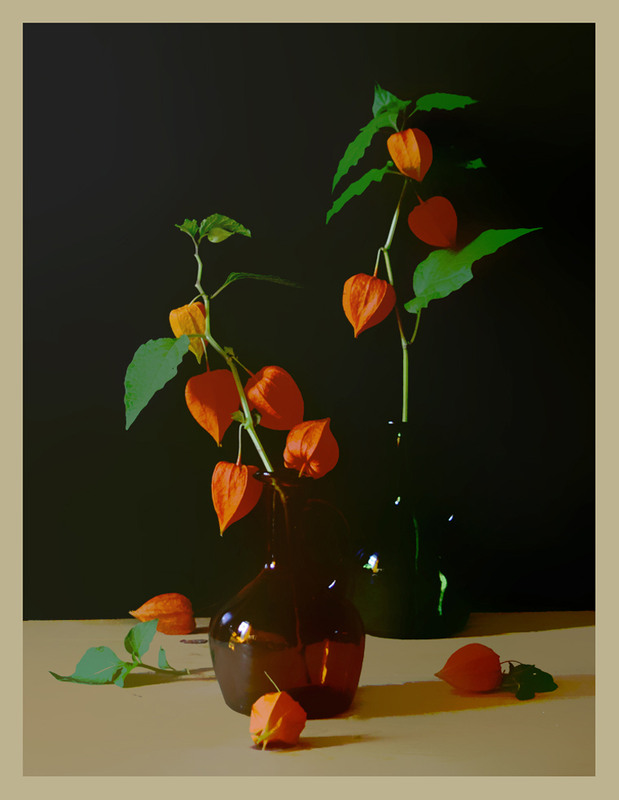 Фотографія Разное / Тіна Качалова / photographers.ua