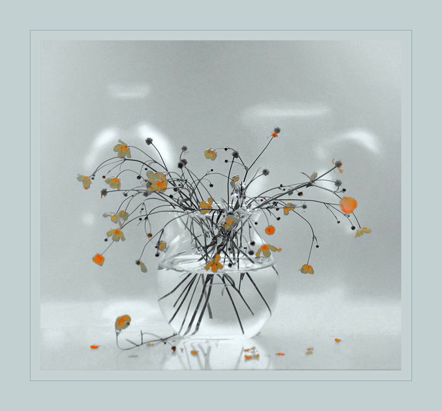 Фотографія Сплін з відтінком оптимізму / Тіна Качалова / photographers.ua