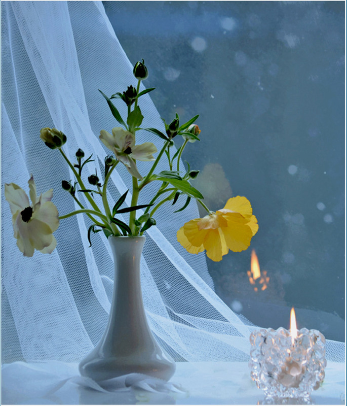 Фотографія ...коли  за вікном сніг / Тіна Качалова / photographers.ua