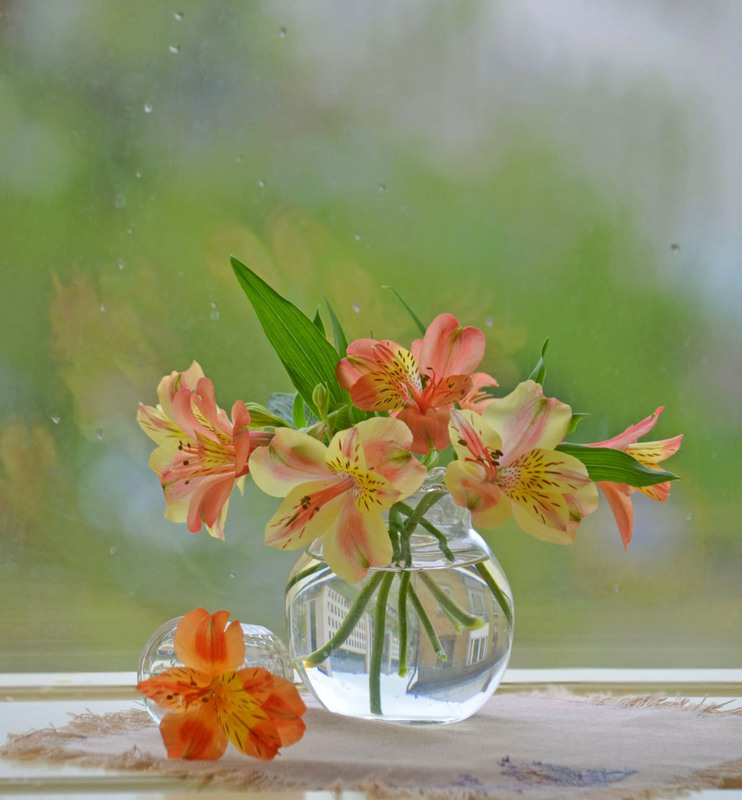 Фотографія Разное / Тіна Качалова / photographers.ua