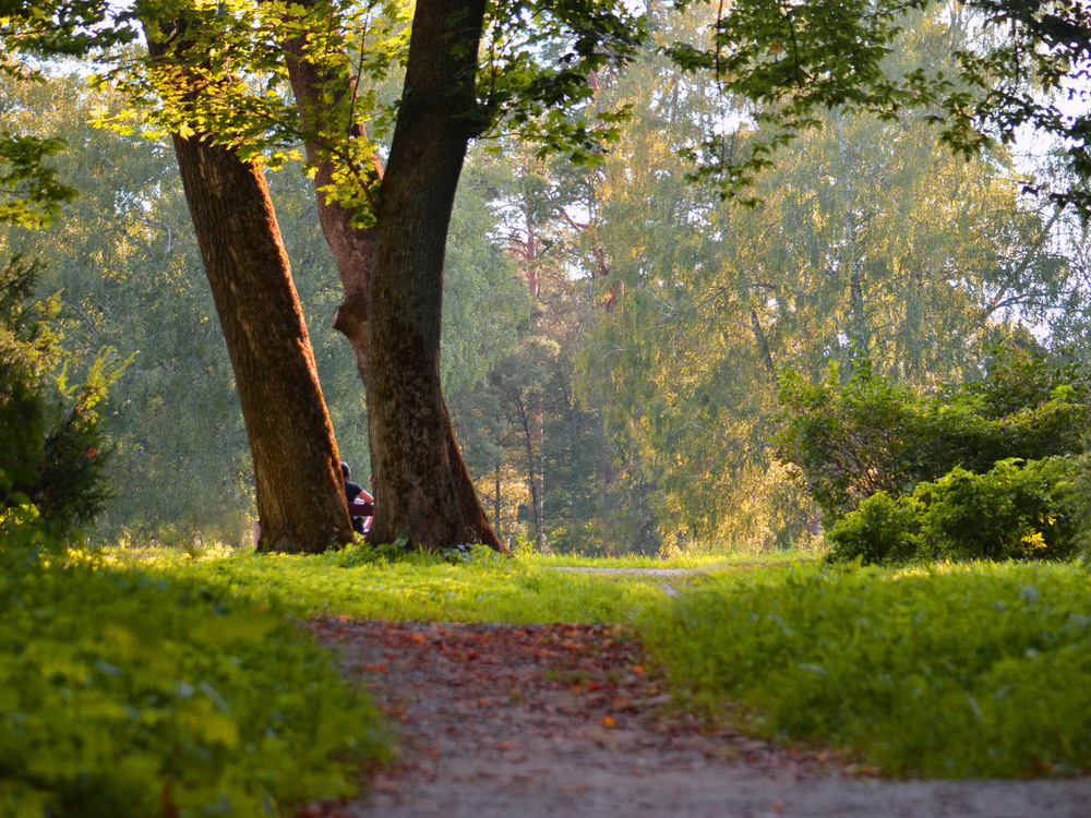 Фотографія Замаскувалися / Тіна Качалова / photographers.ua