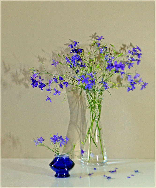 Фотографія Різні реальності / Тіна Качалова / photographers.ua