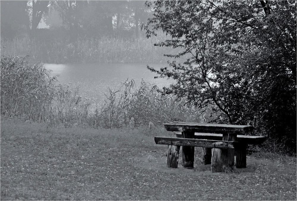 Фотографія Лавочка, яка знає багато секретів.... / Тіна Качалова / photographers.ua
