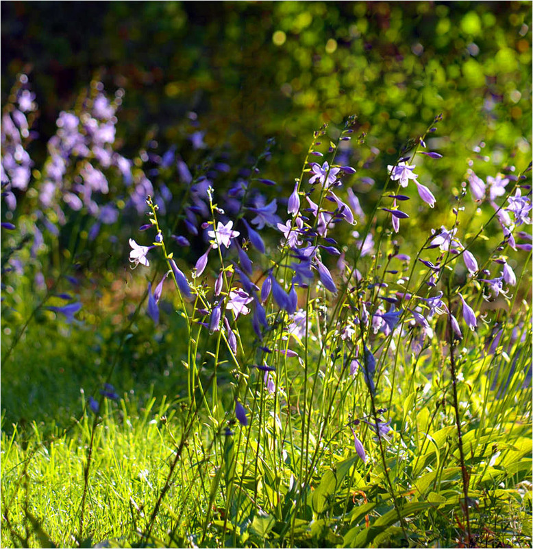 Фотографія Завтра - Осінь / Тіна Качалова / photographers.ua