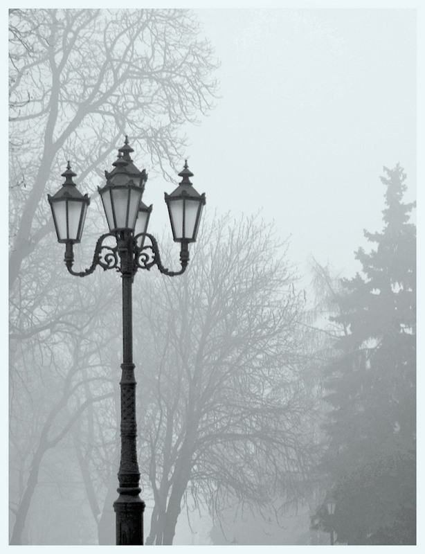 Фотографія Марення осіннього ліхтаря / Тіна Качалова / photographers.ua