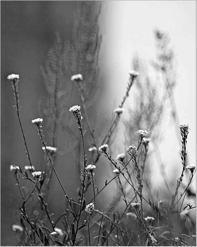 Фотографія Сонце малює.... / Тіна Качалова / photographers.ua