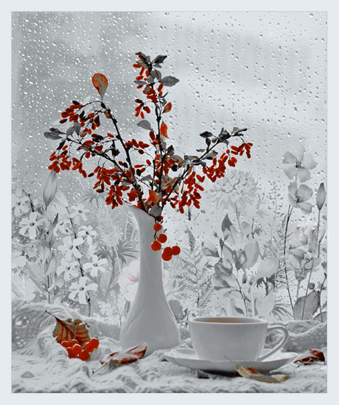 Фотографія Разное / Тіна Качалова / photographers.ua