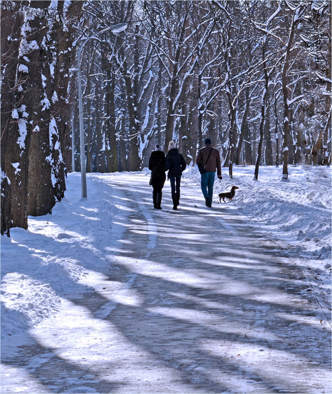 Фотографія Троє в парку, не рахуючи собаки... / Тіна Качалова / photographers.ua