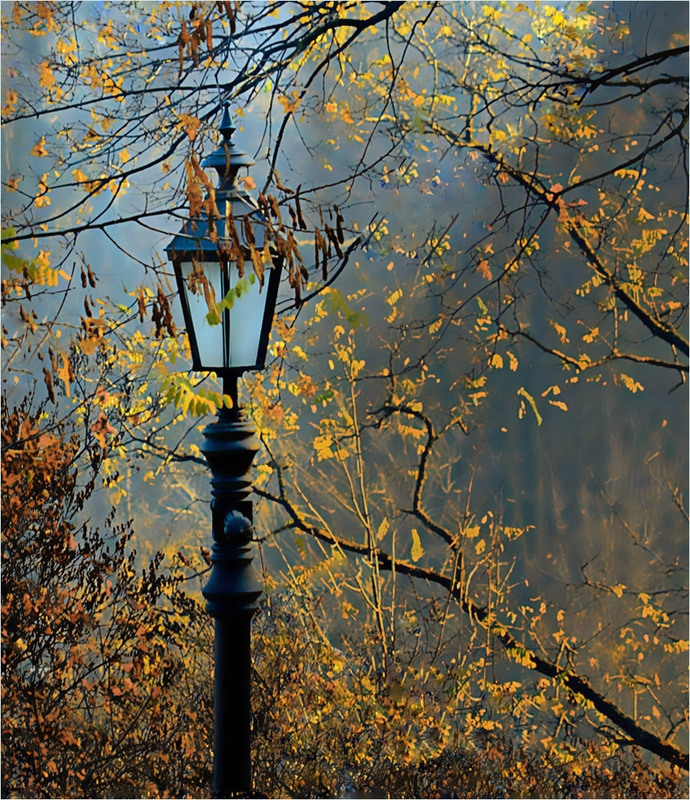 Фотографія Ліхтар,який  виглядає осінь... / Тіна Качалова / photographers.ua