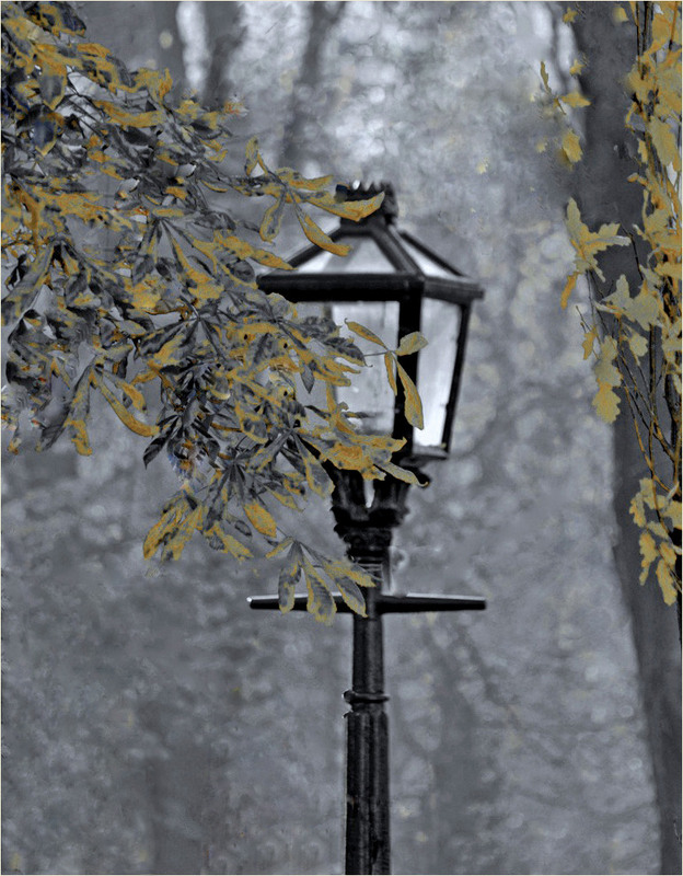 Фотографія Між літом і осінню... / Тіна Качалова / photographers.ua