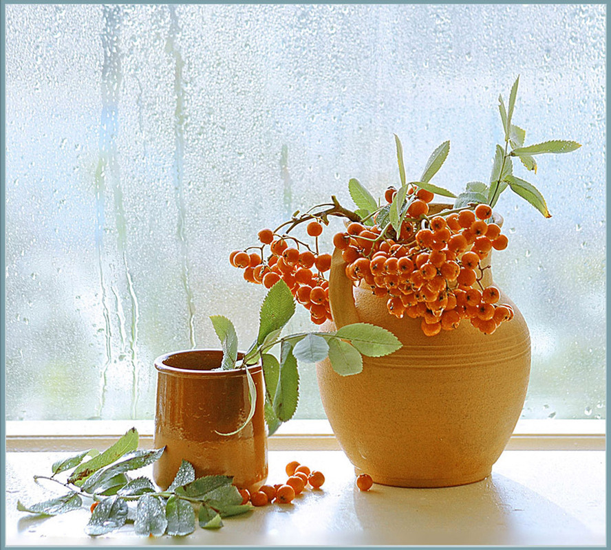 Фотографія Мокрий етюд / Тіна Качалова / photographers.ua