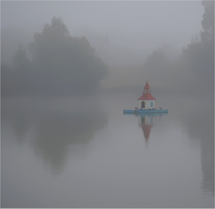 Фотографія Притулок для птахів / Тіна Качалова / photographers.ua