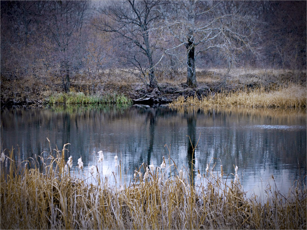 Фотографія Листопад... / Тіна Качалова / photographers.ua
