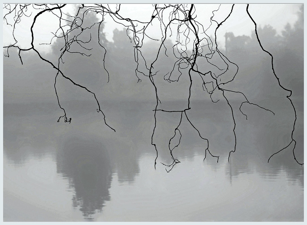 Фотографія Збідніла палітра осені / Тіна Качалова / photographers.ua