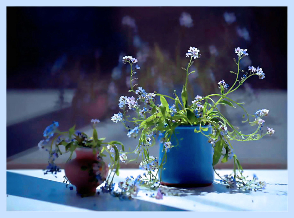 Фотографія Дві реальності... / Тіна Качалова / photographers.ua