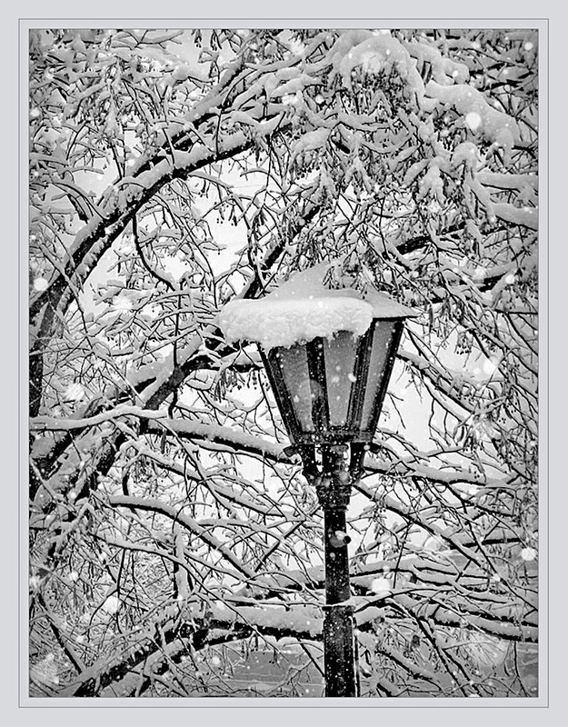 Фотографія Капелюшок для ліхтаря в похмурий зимовий день / Тіна Качалова / photographers.ua