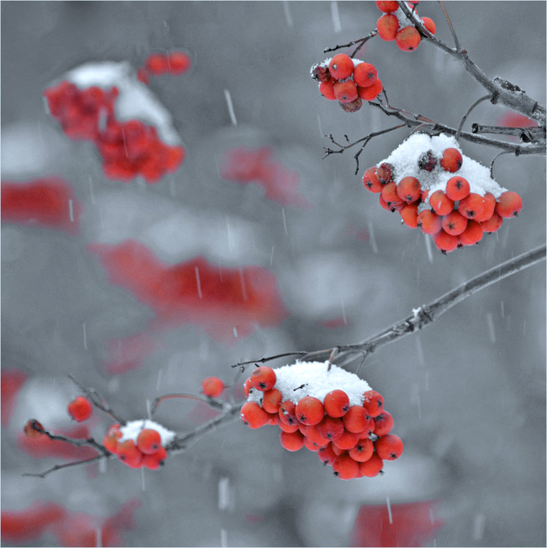 Фотографія Разное / Тіна Качалова / photographers.ua