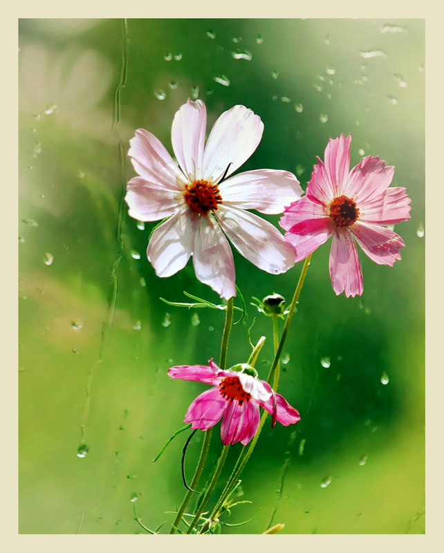 Фотографія Разное / Тіна Качалова / photographers.ua