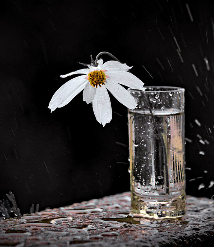 Фотографія Шаленство природи... / Тіна Качалова / photographers.ua