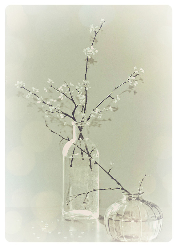 Фотографія Просто весна / Тіна Качалова / photographers.ua