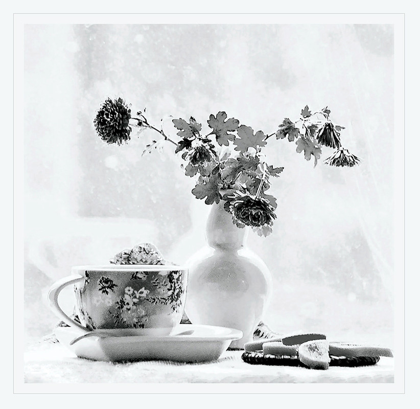 Фотографія ...і молюсь на промінчик сонця / Тіна Качалова / photographers.ua