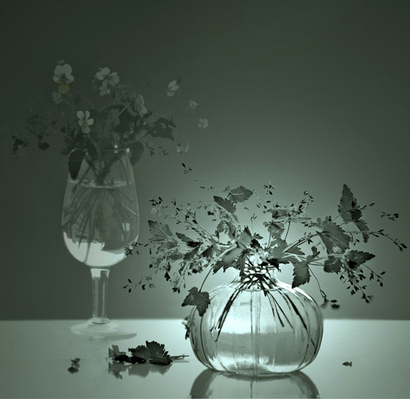 Фотографія Дві реальності / Тіна Качалова / photographers.ua