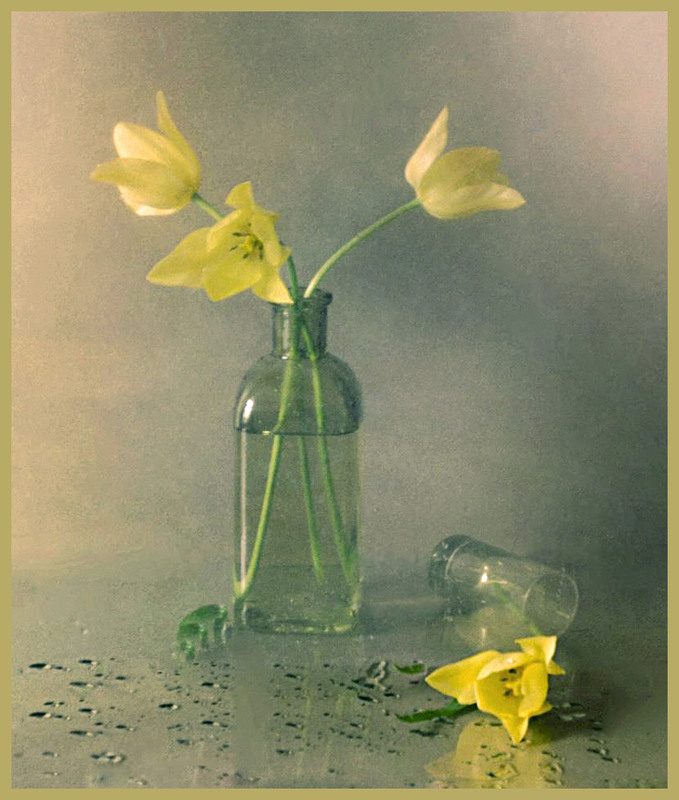 Фотографія Форс-мажор... / Тіна Качалова / photographers.ua