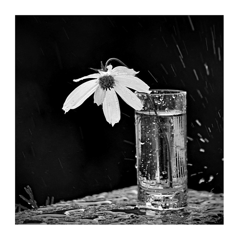 Фотографія Шаленство природи (варіант -2) / Тіна Качалова / photographers.ua