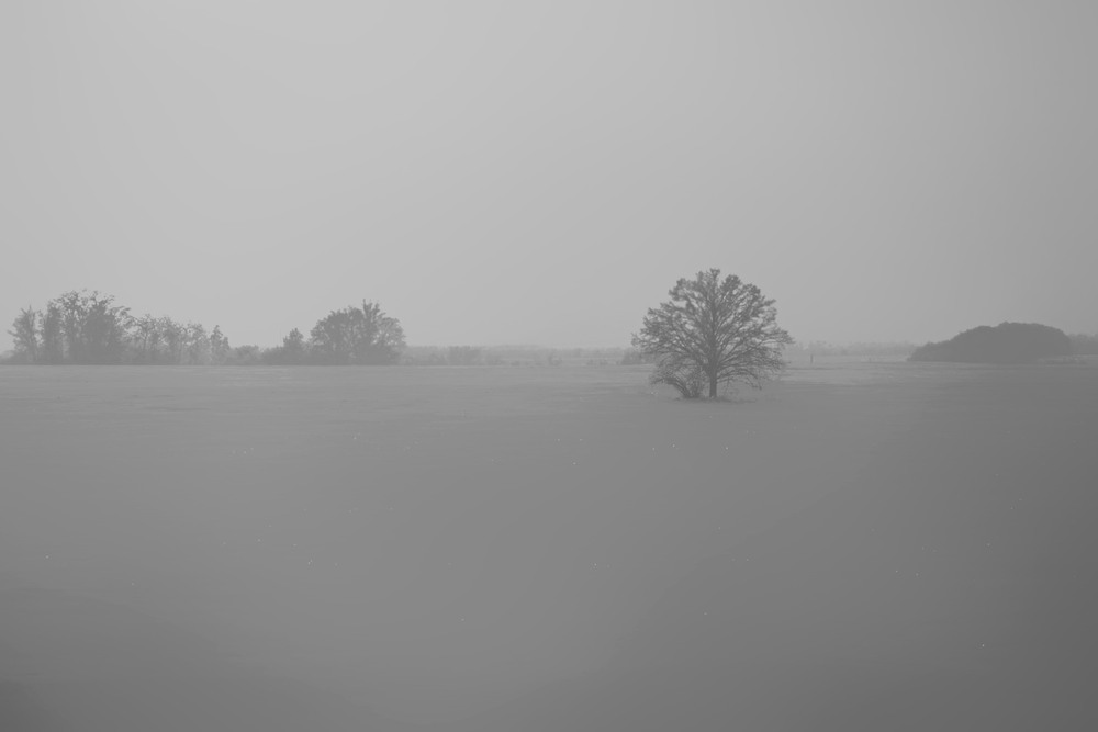 Фотографія ...і молюсь на промінчик сонця / Тіна Качалова / photographers.ua