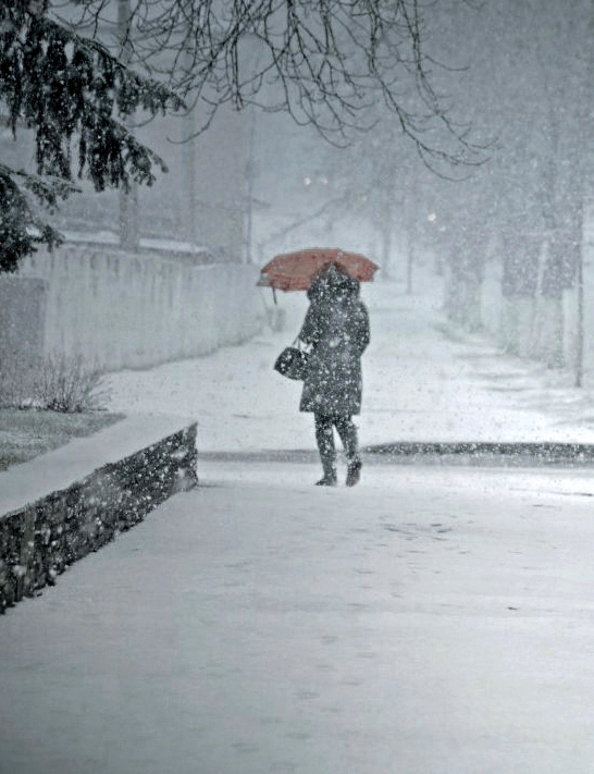 Фотографія Сніги метуть... / Тіна Качалова / photographers.ua