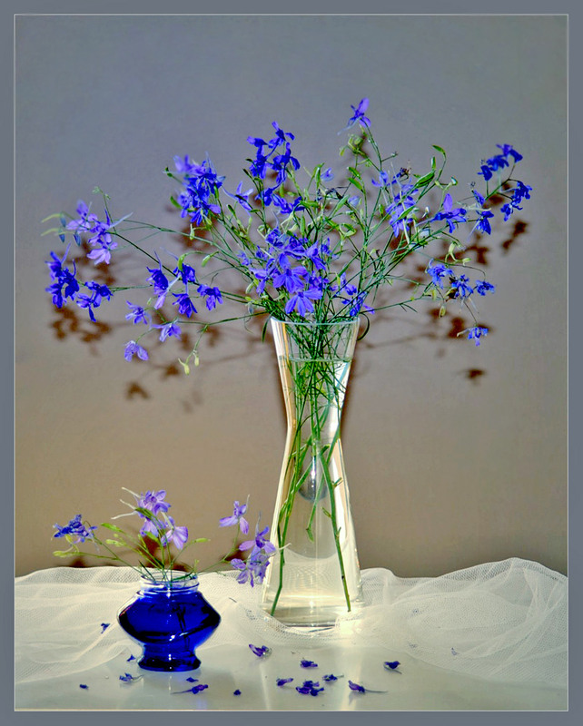 Фотографія Натюрморт / Тіна Качалова / photographers.ua