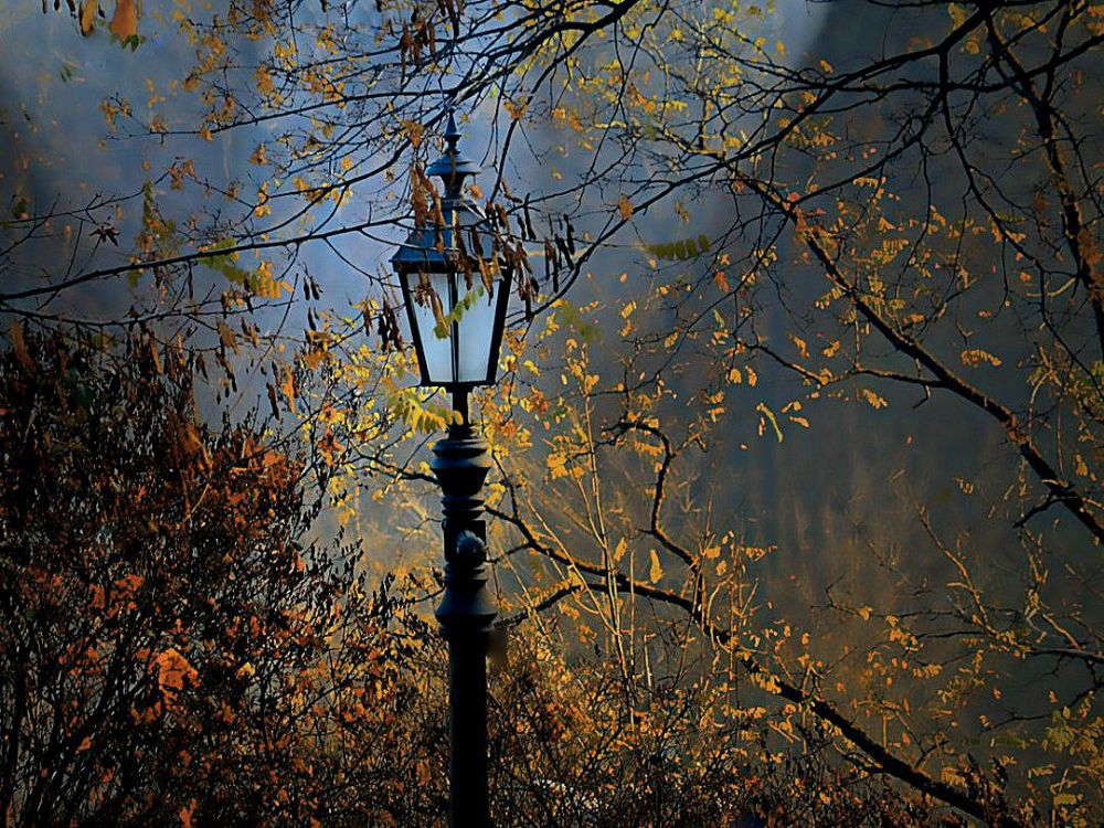 Фотографія Ліхтарі мого міста / Тіна Качалова / photographers.ua