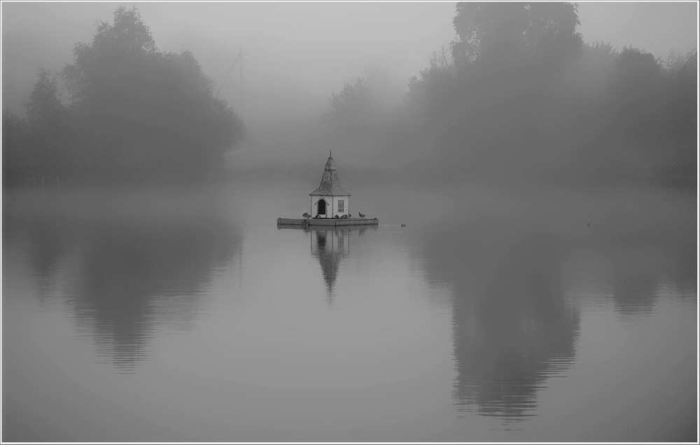 Фотографія Їдальня для птахів / Тіна Качалова / photographers.ua