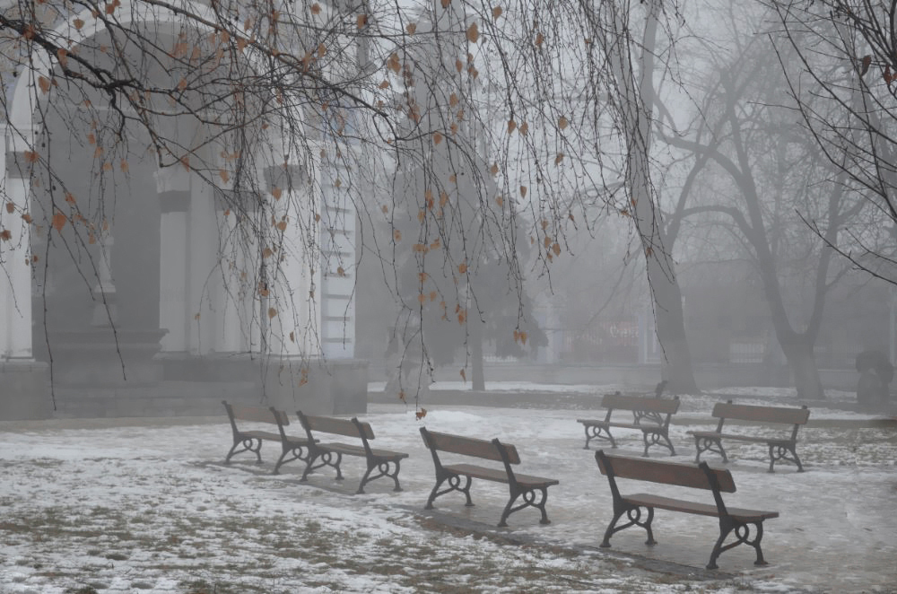 Фотографія Перший сніг / Тіна Качалова / photographers.ua
