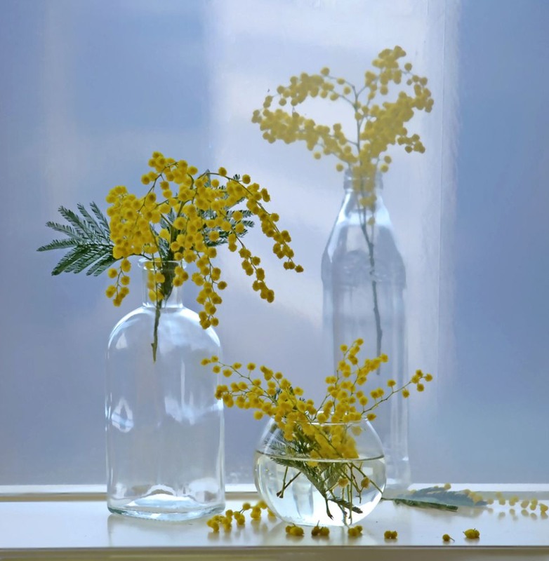 Фотографія Запахло весною... / Тіна Качалова / photographers.ua