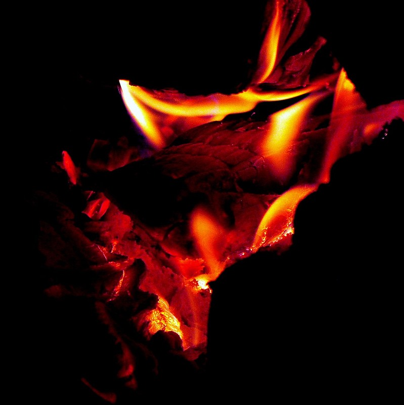 Фотографія ВОГОНЬ / Вячеслав    Міхєєв / photographers.ua