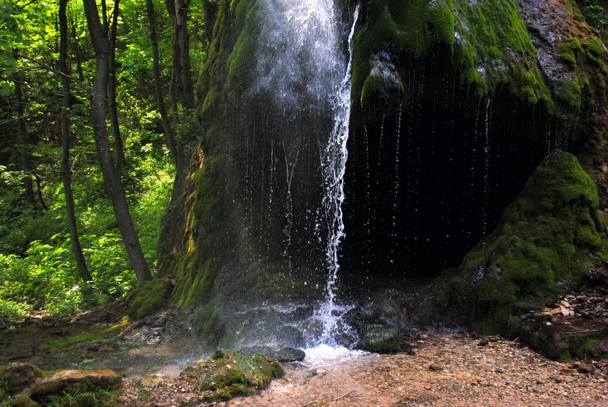Фотографія По вустам текло а в рот не попадало / Вячеслав    Міхєєв / photographers.ua