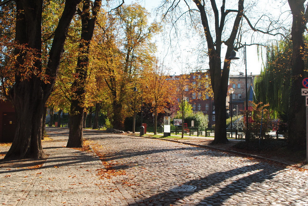 Фотографія Дорога з осіннім настроєм. / Вячеслав    Міхєєв / photographers.ua
