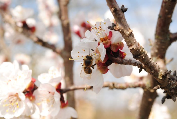 Фотографія Разное / Вячеслав    Міхєєв / photographers.ua