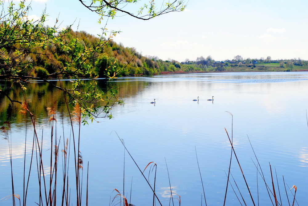 Фотографія Гламур / Вячеслав    Міхєєв / photographers.ua