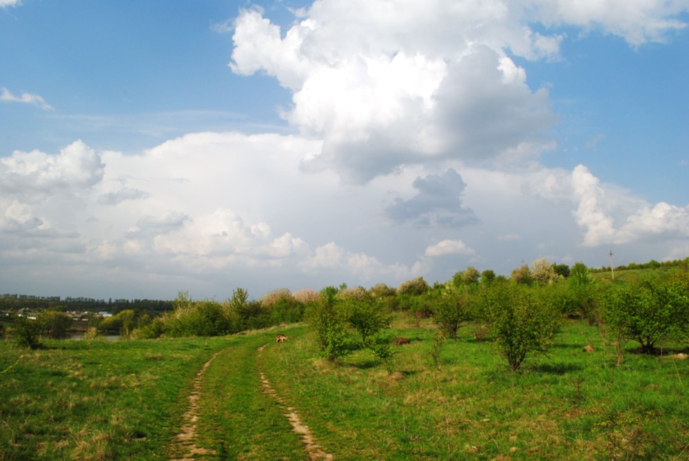 Фотографія Пейзаж / Вячеслав    Міхєєв / photographers.ua