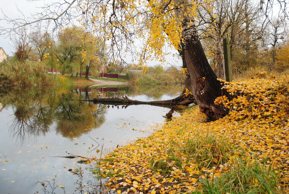 Фотографія На березі Хоролу / Вячеслав    Міхєєв / photographers.ua