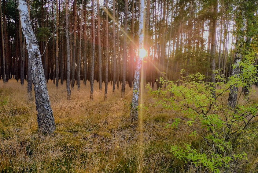 Фотографія Пейзаж / Вячеслав    Міхєєв / photographers.ua