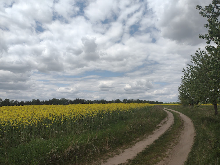 Фотографія Пейзаж / Вячеслав    Міхєєв / photographers.ua