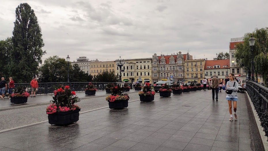 Фотографія Квіти для перехожих / Вячеслав    Міхєєв / photographers.ua