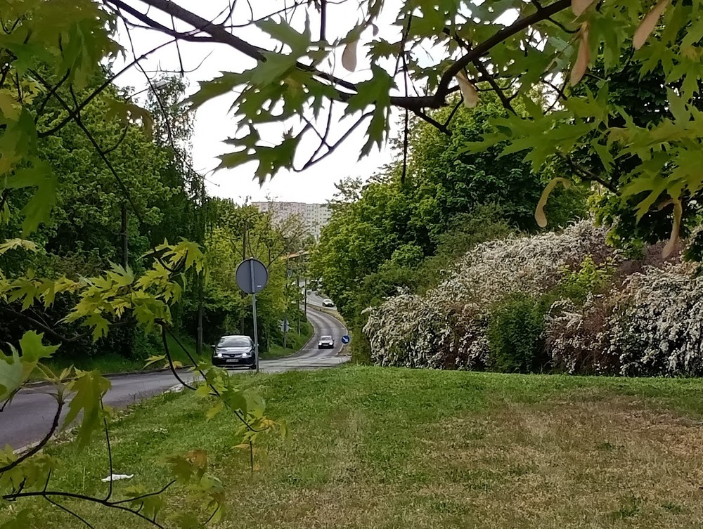 Фотографія Весняне місто / Вячеслав    Міхєєв / photographers.ua