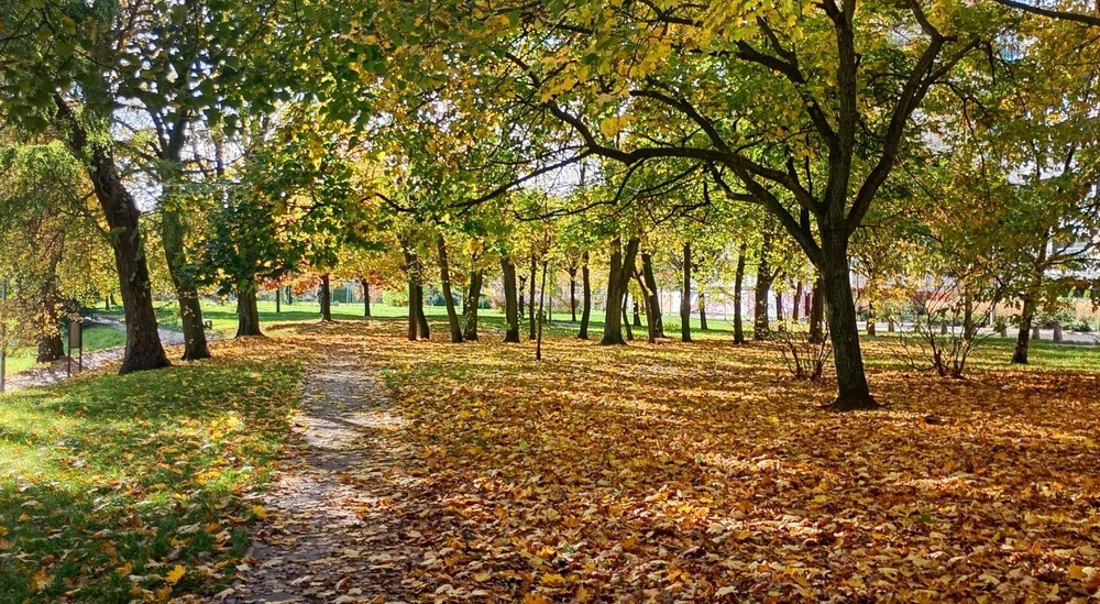Фотографія Це вже осінь... / Вячеслав    Міхєєв / photographers.ua