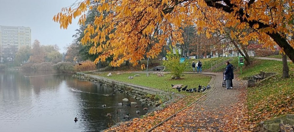 Фотографія В осіннім парку змішались барви... / Вячеслав    Міхєєв / photographers.ua