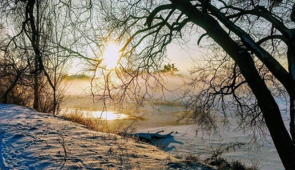 Фотографія в один із зимових ранків / Вячеслав    Міхєєв / photographers.ua